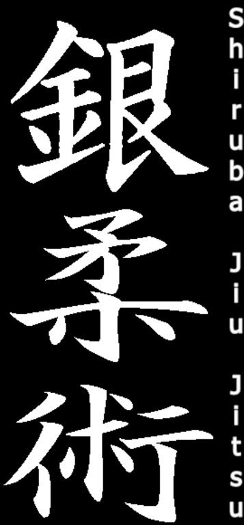 Jiu-Jitsu-Kanji-jju.jpg